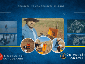 Deniz Jeofizik Arama kopyası